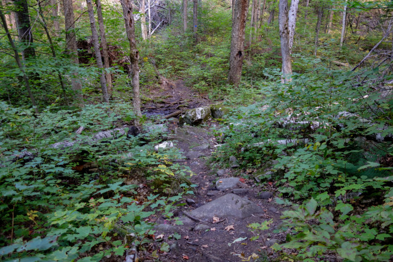 Bon Echo Sept 2020_14.JPG
