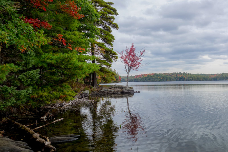 Silent Lake Sept 2020_06.JPG