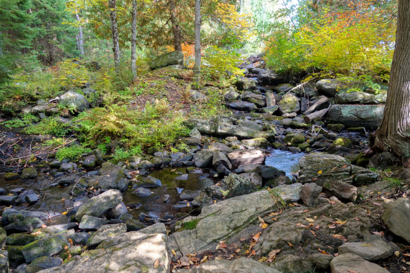 Silent Lake Sept 2020_12.JPG