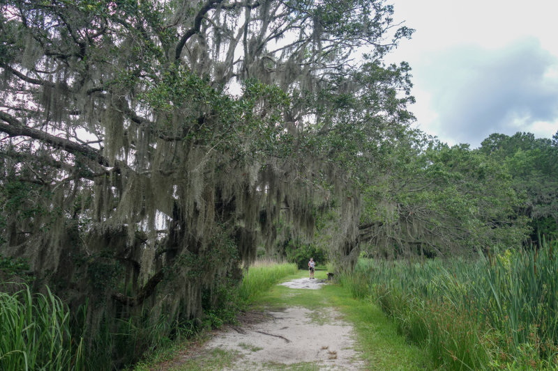 MyrtleBeach-12.jpg