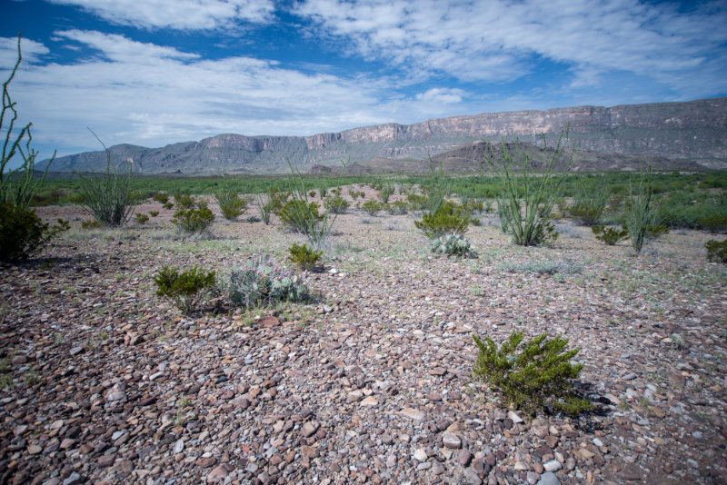 Terlinqua Big Bend -19.jpg