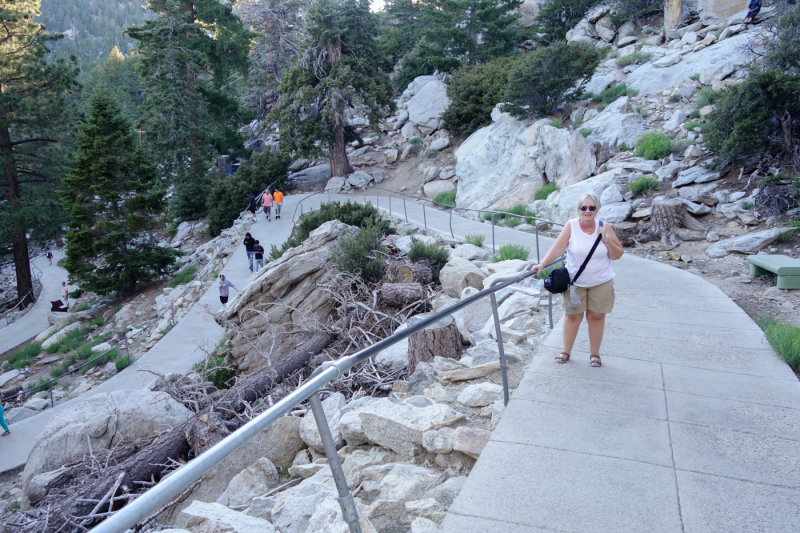 Palm Springs-6.jpg