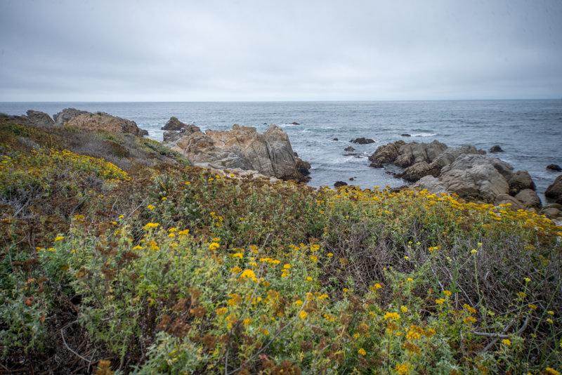 Monterey-11.jpg