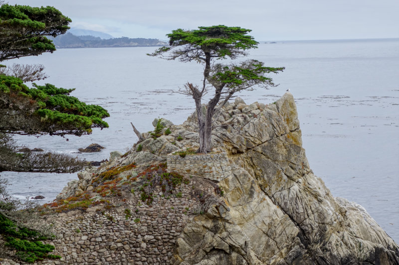 Monterey-8.jpg
