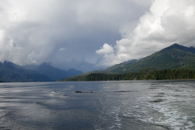 Tofino BC-11.jpg