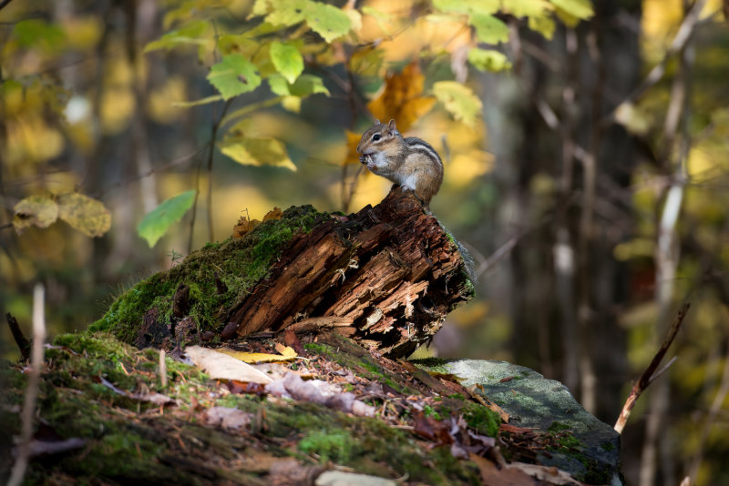 ALQ PK Oct 2019_025.JPG