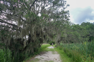 MyrtleBeach-12.jpg
