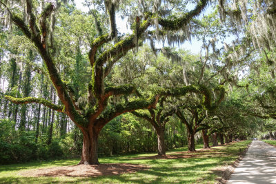 Charleston SC-17.jpg