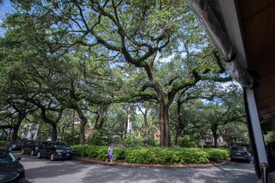 Savannah Ga-16.jpg