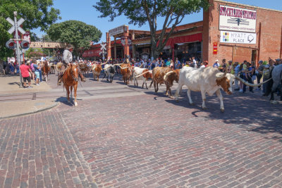 Dallas-36.jpg