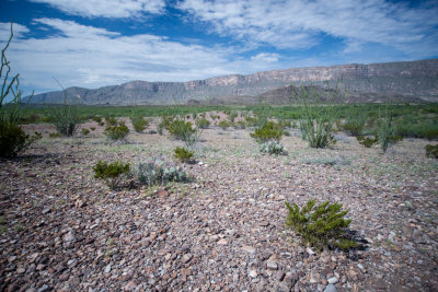 Terlinqua Big Bend -19.jpg