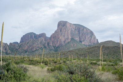Terlinqua Big Bend -8.jpg