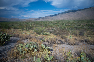 Tucson-8.jpg