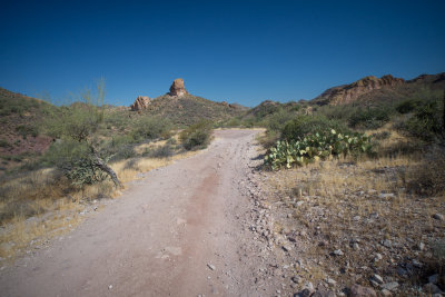 Phoenix-7.jpg