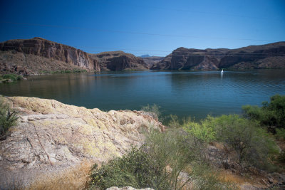 Phoenix-9.jpg