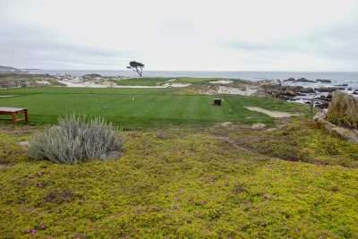 Monterey-6.jpg