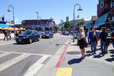 SanFrancisco-21.jpg