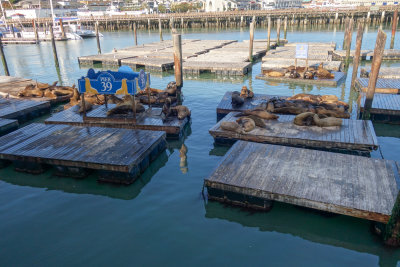 SanFrancisco-4.jpg