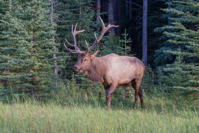 Banff-46.jpg