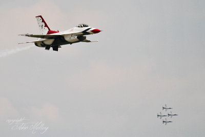 Waddington 2013