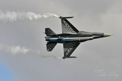 Waddington 2010