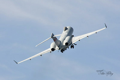 Waddington 2010