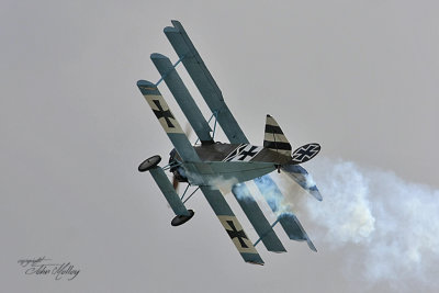 Waddington 2010