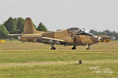 Waddington 2010