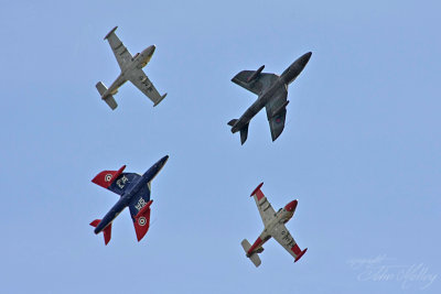 Waddington 2010