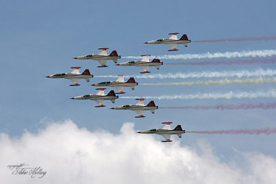 Waddington 2010