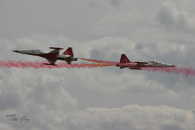 Waddington 2010