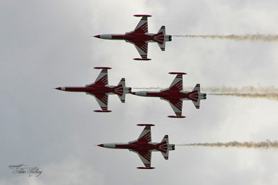 Waddington 2010