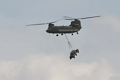 Waddington 2010