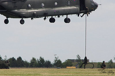 Waddington 2010