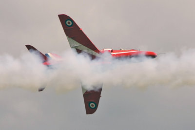 Waddington 2010