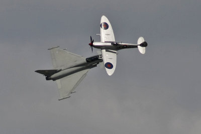 Waddington 2010