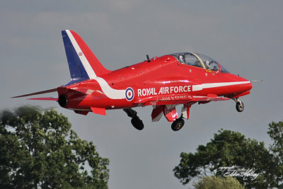 Waddington 2010