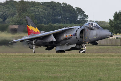 Waddington 2010