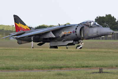 Waddington 2010