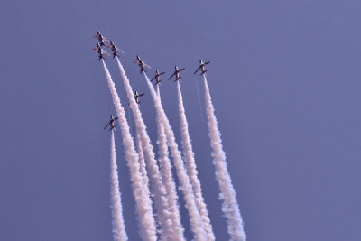 Waddington 2013