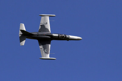 Waddington 2013