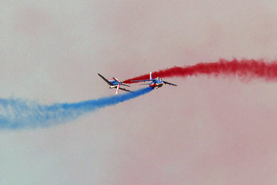 Waddington 2013