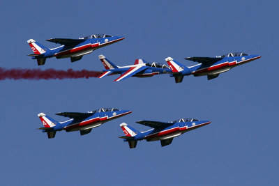 Waddington 2013