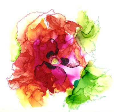 Poppy