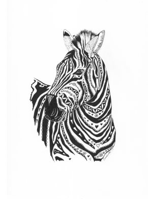 Zebra