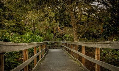 Nature trail over the dunes at Fort Matanzas