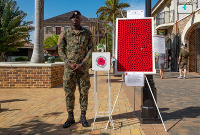 We contributed to Jamaicas Poppy campaign