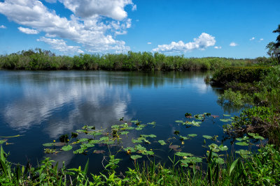 We are in the Everglades National Park