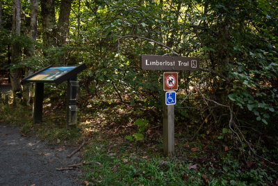 Shenandoah National Park Limberlost Trail