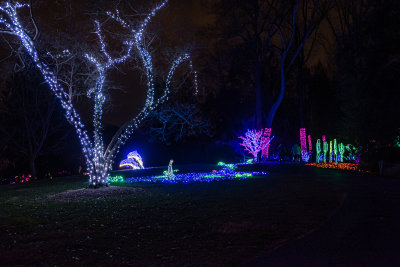 Brookside Gardens in Wheaton, MD